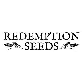 Mint Seeds - Outstanding Culinary Varieties | Redemption Seeds