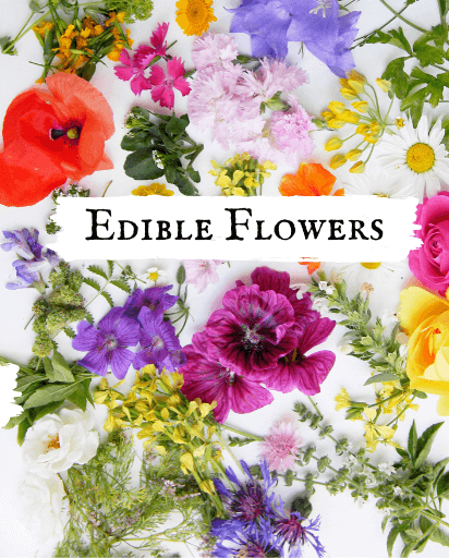 Shop Edible Flower Seeds